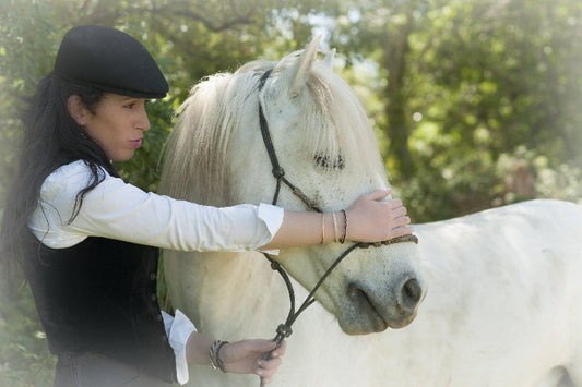 Bijoux en crin de cheval : comment transformer les crins de votre compagnon en souvenir unique 💕🐎